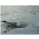 DSCN6579.JPG