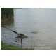 DSCN6634.JPG