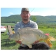 DSCN6705.JPG